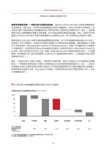 美国咨询机构与互联网数据资讯中心 199it网址之家的角色与影响