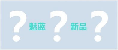 骚操作引发热议 魅蓝新机价格让网友直呼“看不懂”